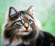 Cat portrait painting