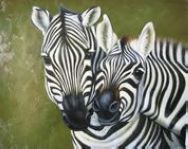 Zebra oil portrait painting